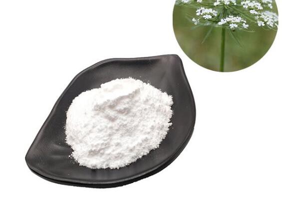 20210817113740ab51961232c1403e8be92d5ee007e090 20210817113740ab51961232c1403e8be92d5ee007e090