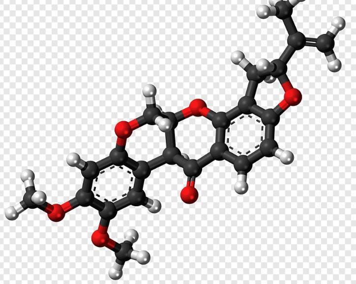 20210926170132bdec609246de47e2bebc28c07be11b0c