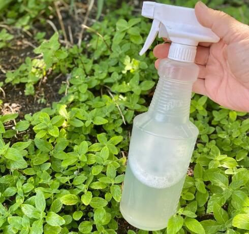 20211207160656c6e3591d997744f0960199584669874e