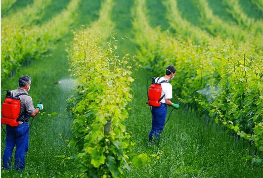 202107261650044f28372e70c944e19d472527e88819c4-5 202107261650044f28372e70c944e19d472527e88819c4-5