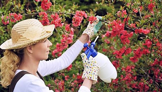 20210727151754696670be36c140aea18fa809b4c85a5d-9 20210727151754696670be36c140aea18fa809b4c85a5d-9