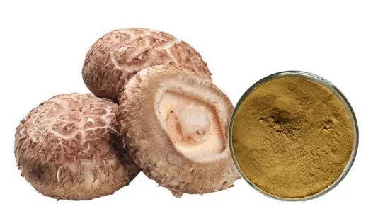 20210730163104d3cfce3359f64392a43cc9abc99da637-1 20210730163104d3cfce3359f64392a43cc9abc99da637-1