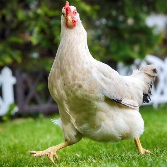 202108051701196bbc5e614fca46e0b3baf3ec3a9581ef-2 202108051701196bbc5e614fca46e0b3baf3ec3a9581ef-2