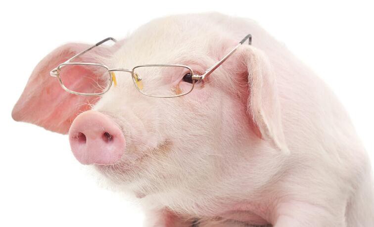 2021080911514042be063410b541dc9c61008847df5ae8-2 2021080911514042be063410b541dc9c61008847df5ae8-2