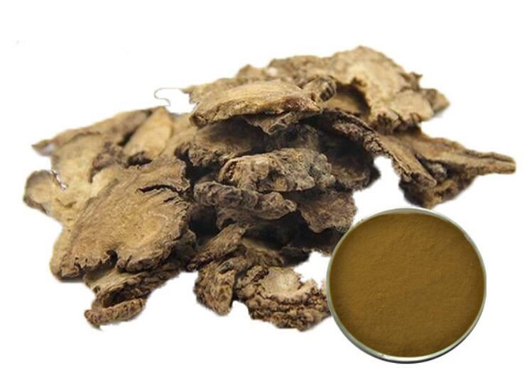 20210810161043c640c858f1d442a28eca1fb61c899b9f 20210810161043c640c858f1d442a28eca1fb61c899b9f