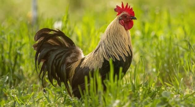 202108111351283992aa9e661e470caa4672b0c0399ab2-39 202108111351283992aa9e661e470caa4672b0c0399ab2-39