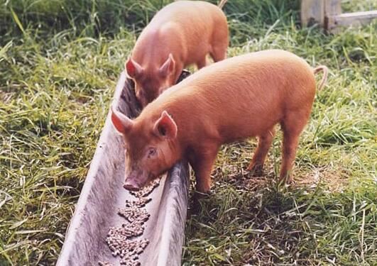 20210913144947364db883cf3c4b739a6855da140c2c30-3 20210913144947364db883cf3c4b739a6855da140c2c30-3