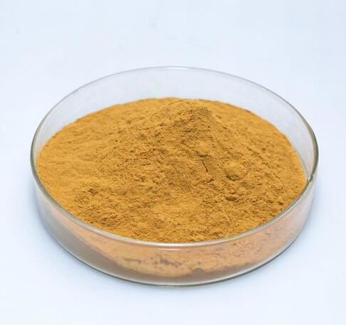 20210924154811225a1f16bae745e1a35691aae6bbca42-4 20210924154811225a1f16bae745e1a35691aae6bbca42-4