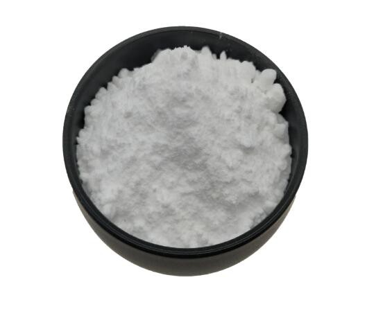 202110131540509272bc6f59ef40f194d90448436e02d7 202110131540509272bc6f59ef40f194d90448436e02d7