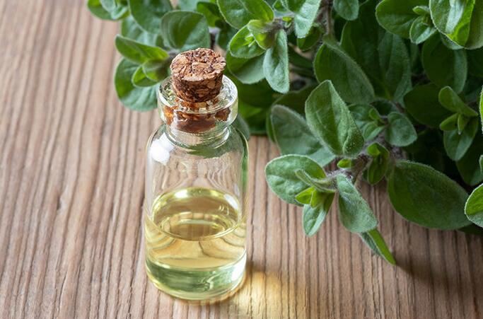 202111181553065537c68246e14b279f82f17c943241a2-1 202111181553065537c68246e14b279f82f17c943241a2-1