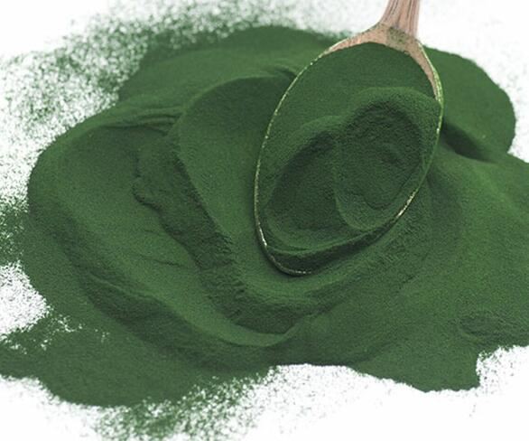 20211202162853030e5e942fb94864bdaac02e38c1d920-4