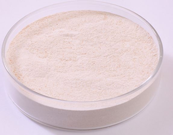 202112240923493673d950ccc242c899f5cec31dc70a0b 202112240923493673d950ccc242c899f5cec31dc70a0b