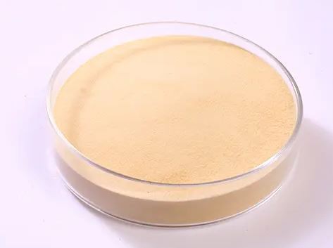 20211230095751dda78995a4d74a8fbc472c80e6819769