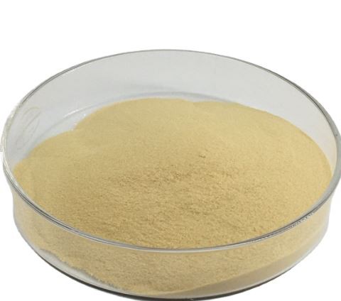 202112301007059d9945fbc6f648fab4afe6c18cf3ba4f 202112301007059d9945fbc6f648fab4afe6c18cf3ba4f