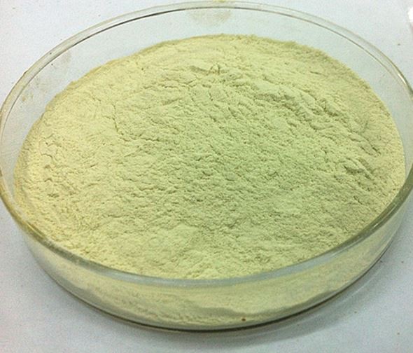 2021123110392061518de888e64e11a16e2d6f3e59d41a 2021123110392061518de888e64e11a16e2d6f3e59d41a