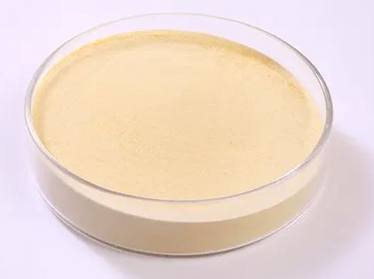 20220104104113f131374450af46269ff717f0fd0bbc8f 20220104104113f131374450af46269ff717f0fd0bbc8f