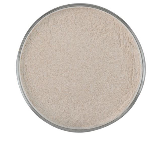 202201041105202eaedcdc237e41f4b4c609d8170f37b5 202201041105202eaedcdc237e41f4b4c609d8170f37b5