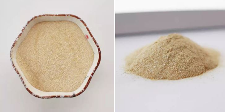 20220114103450a911c4a1a81646659d6037264fe046ff 20220114103450a911c4a1a81646659d6037264fe046ff