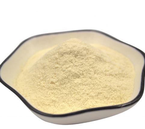 2022012814085562812499350b4c4da8b93d73d522f4a4-1 2022012814085562812499350b4c4da8b93d73d522f4a4-1