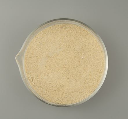 20220211135010506a124876964d01a16ffe64cd43d486 20220211135010506a124876964d01a16ffe64cd43d486