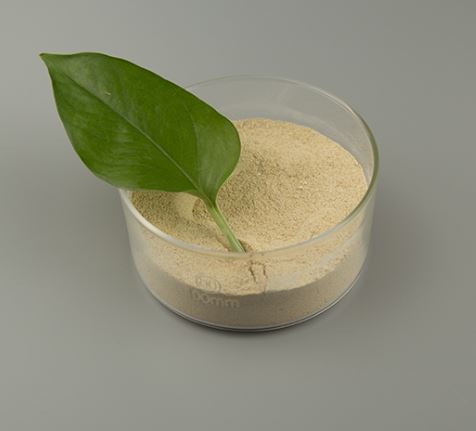 202202111350337688d516e9db459c8b69e70e2bc431e1 202202111350337688d516e9db459c8b69e70e2bc431e1