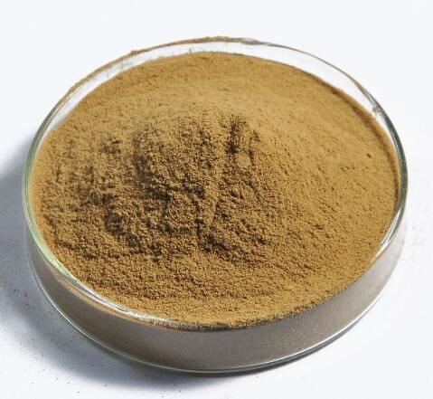 202202111417053ae36733fe4440849b9d0b741fd05b44 202202111417053ae36733fe4440849b9d0b741fd05b44