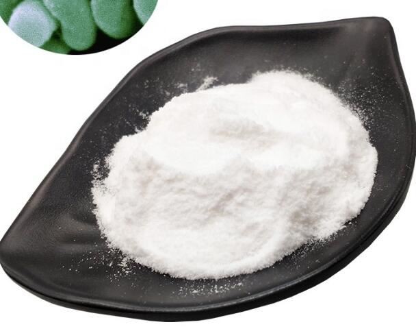 20220218103726f796b6ebfca3485da3726e3a7ef7e74f 20220218103726f796b6ebfca3485da3726e3a7ef7e74f