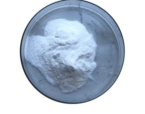 20220218115902d082a7b32bb34642a3b0451dfbc5ef43 20220218115902d082a7b32bb34642a3b0451dfbc5ef43