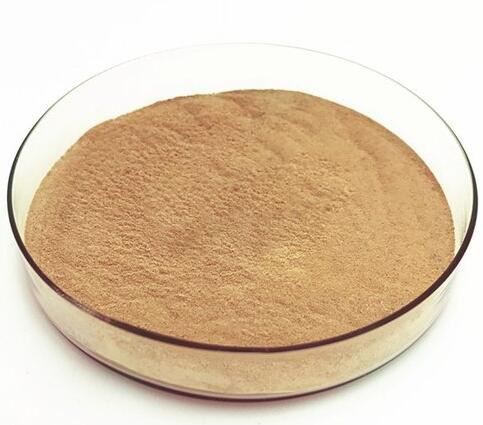 202202221618051103bcdd04c349e1b0f714bc7dc72f3f 202202221618051103bcdd04c349e1b0f714bc7dc72f3f