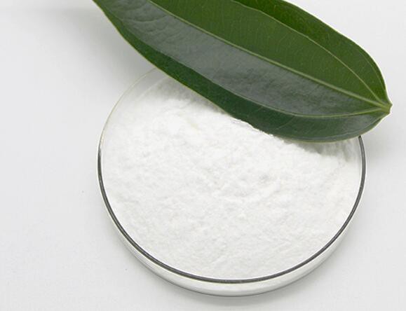 20220301142113c761e0da38f04723befa534775857cfd 20220301142113c761e0da38f04723befa534775857cfd