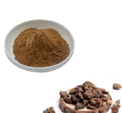 20220317110249619f1da899e843aaaaeb299887e355a4-1 20220317110249619f1da899e843aaaaeb299887e355a4-1