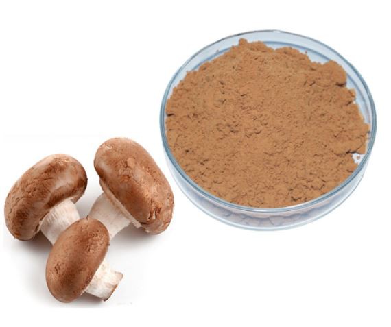 20220422112724105ced695f874487bb293113f2410bad