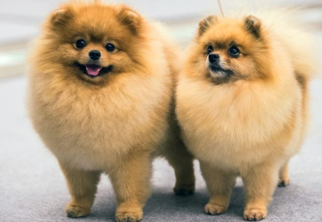 2022042211573314bb00e1fcce4202a35544cf73ef3730 2022042211573314bb00e1fcce4202a35544cf73ef3730