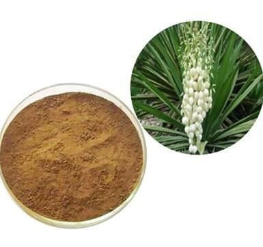 202204281329556a378c31ee744d0a85156ca6a09ae7d2 202204281329556a378c31ee744d0a85156ca6a09ae7d2