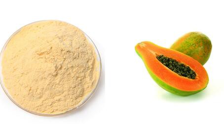 20220509155714ce2f7d4eabfe419ba4b1cbb693b9acf7-1 20220509155714ce2f7d4eabfe419ba4b1cbb693b9acf7-1