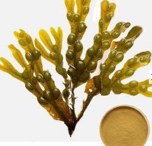 2022052013461305449786d18045a4895702d28d76221d 2022052013461305449786d18045a4895702d28d76221d