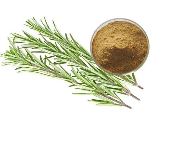 202206211408282840328b972d46f5ae2c9cc833ec0d2a-1