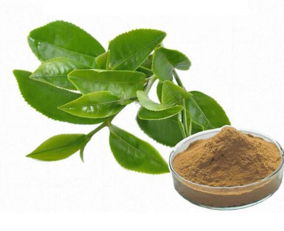 2022062716393424ddae12fff844b8a7e15cf23ea6f3d1