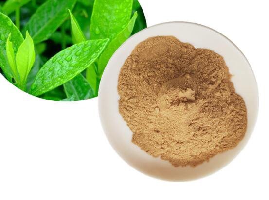 202206271639529a92947ca11f47fda3439cab52e251a5-1