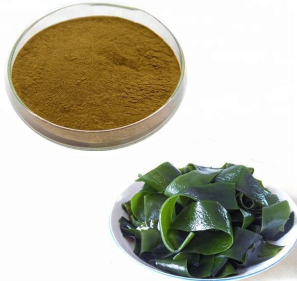 20220713141329087c4299cbce4ecf9f76424fe7072c29-2 20220713141329087c4299cbce4ecf9f76424fe7072c29-2