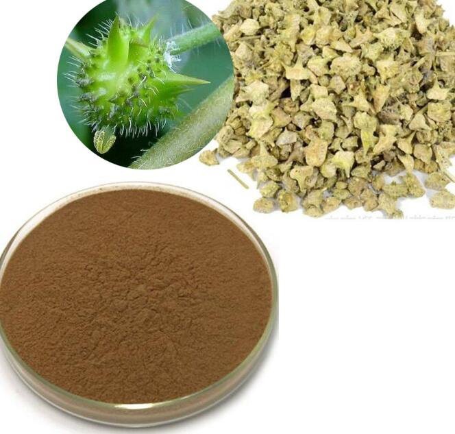 20220726134528930411396ced4c35b742778d73b59258 20220726134528930411396ced4c35b742778d73b59258