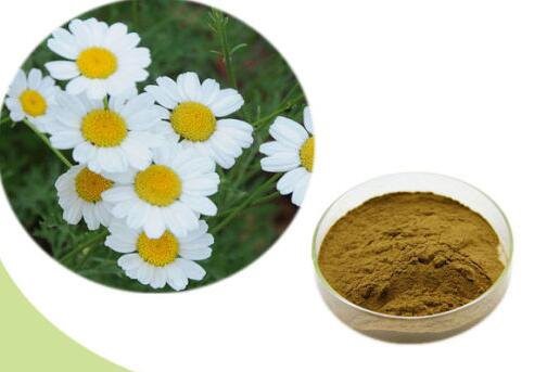 202207291337417cb6265deafb4af68b1c3cadeb7ae640 202207291337417cb6265deafb4af68b1c3cadeb7ae640