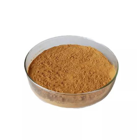 202208151422320858358c5f6b471ea3a3e7d95f3bab58-1 202208151422320858358c5f6b471ea3a3e7d95f3bab58-1