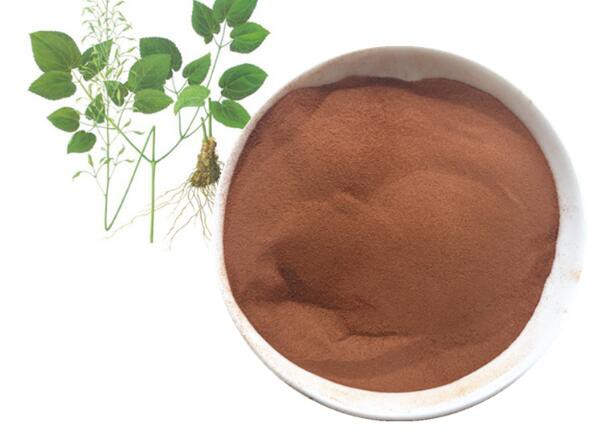 202208241140246c36aa1597304e908e04fdda09219e67 202208241140246c36aa1597304e908e04fdda09219e67