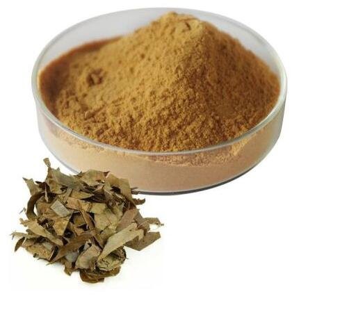 2022082411403741c6e7c9be3e4fa4a69af40ec9287e28 2022082411403741c6e7c9be3e4fa4a69af40ec9287e28