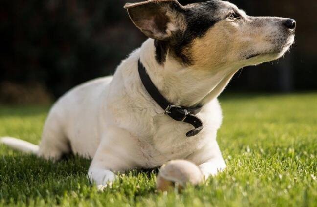 202211281428187f97547062ad44b584b748f7da49e0a0-5