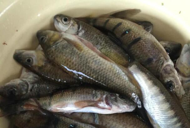 20230208150420b2a854d7233744289f165d0b825f3f1d-2 20230208150420b2a854d7233744289f165d0b825f3f1d-2