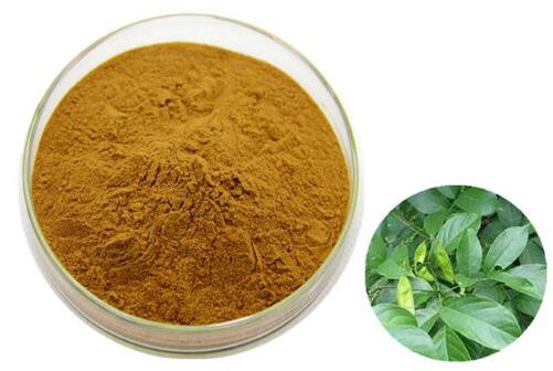 2023020815121451de1171e64946c781fc3167fd5f103a-2 2023020815121451de1171e64946c781fc3167fd5f103a-2