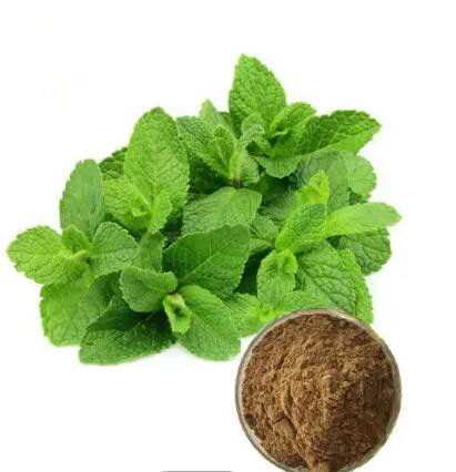 20230302135021079da476ba3f405eaf6ad524ec13f4fc 20230302135021079da476ba3f405eaf6ad524ec13f4fc