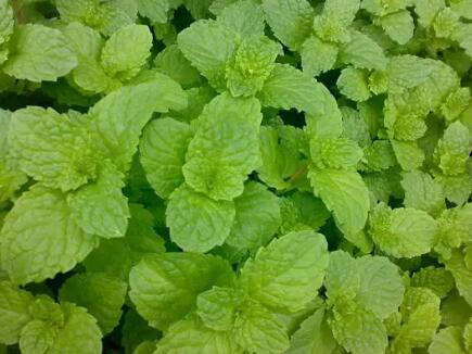 20230302135034bfbcf55197bb4755b9a93ceb818b953a 20230302135034bfbcf55197bb4755b9a93ceb818b953a